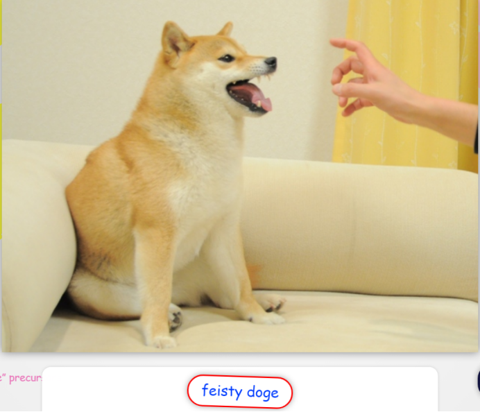 （圖片來源：https://very.auction/doge/feisty-doge）