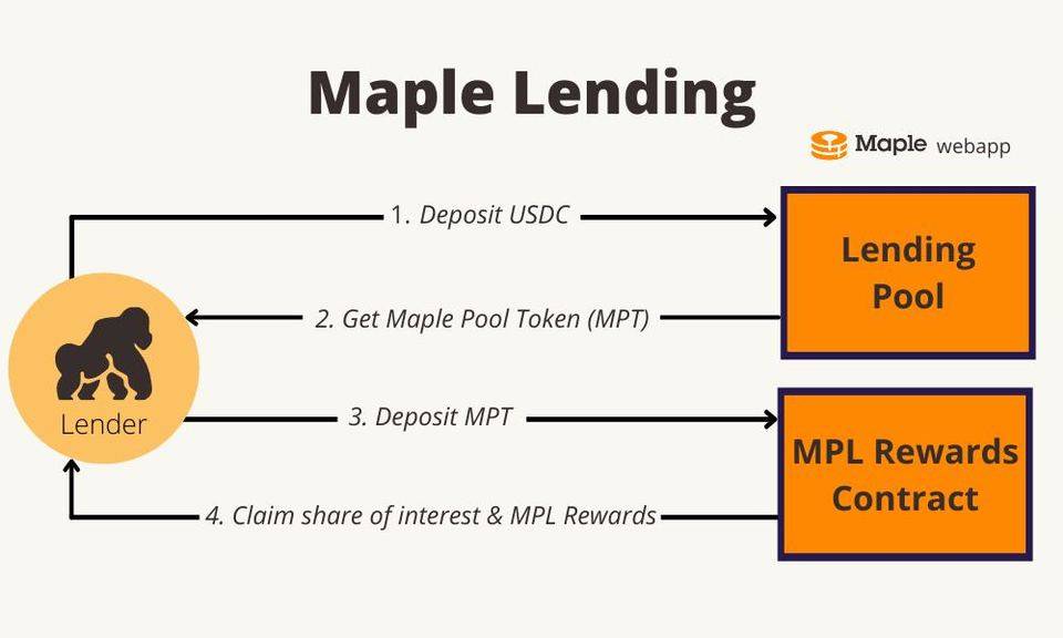 DeFi 之道丨DeFi 借貸的下一個藍海市場？了解一下信貸項目Maple Finance