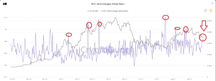 chart-27-860x324.png