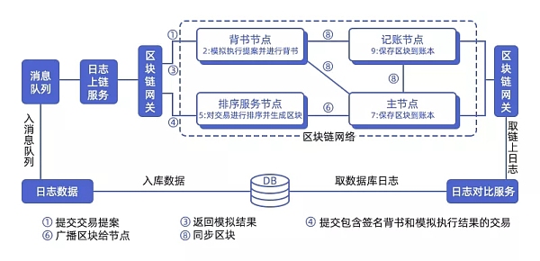 Rug pulls 終結者NA Chain為加密貨幣分配披上堅毅鎧甲