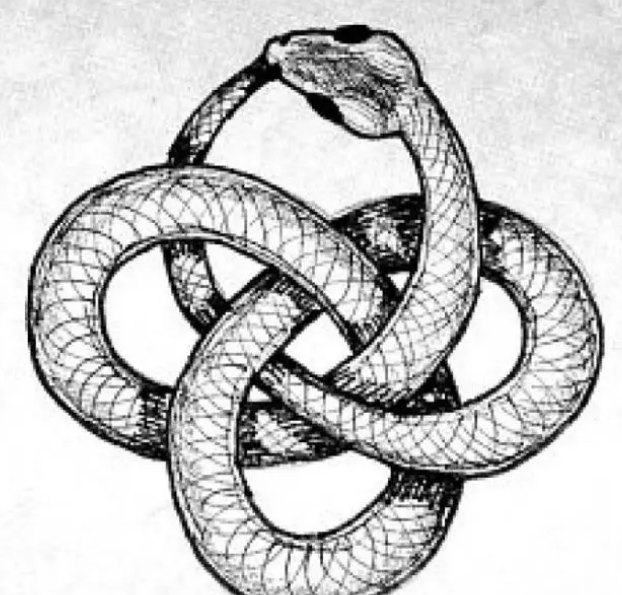 為什麼蛇會咬自己的尾巴，難道是餓傻了？網友：天性如此- 汽車資訊(娛樂新聞網)
