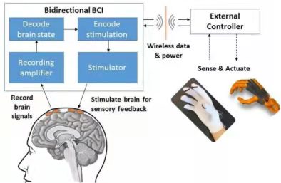 圖3 Neuralink公司的腦機接口項目