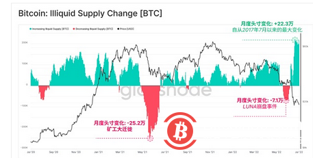   Glassnode 研究：比特幣鏈上活動處於熊市但強烈囤幣趨勢顯現