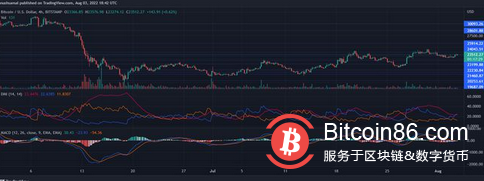 比特幣價格觸及23300 美元，看跌論點會失效嗎？