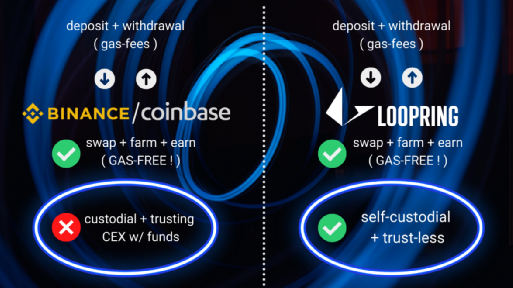 項目調研| 老牌國產Layer2協議Loopring