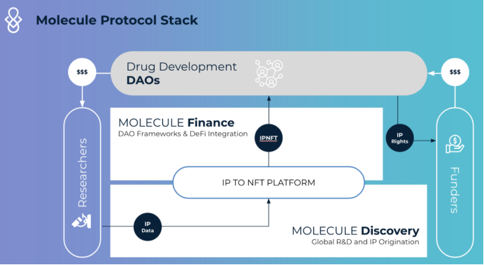 DeSci：探討Biotech專案進入Web3的業務模式及可行路徑