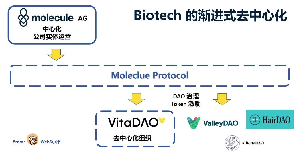 DeSci：探討Biotech專案進入Web3的業務模式及可行路徑