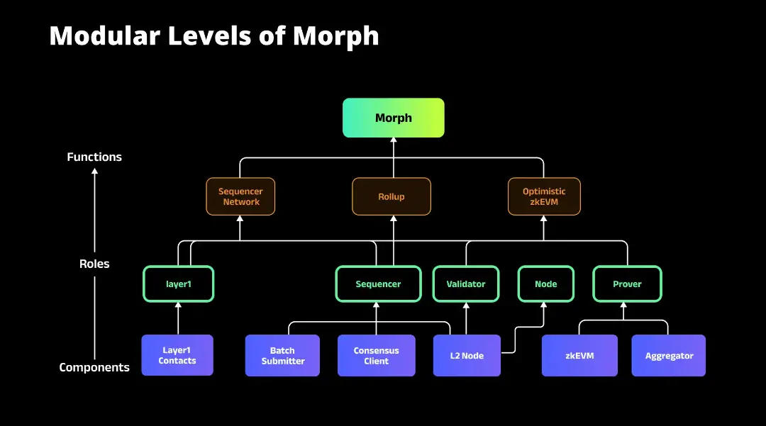 解讀L2新秀Morph技術邏輯：能否帶來L2的下半場轉折？