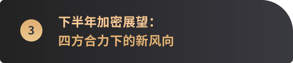 2025上半年落幕，哪些主線將成就下半年“加密新引擎”？